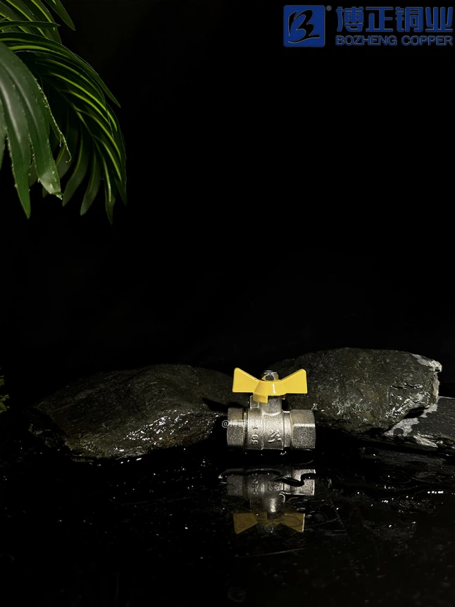 20250106152916 20250106152916